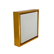 Gold Floater frame for 1.5" deep canvas, multiple sizes  16x16" 