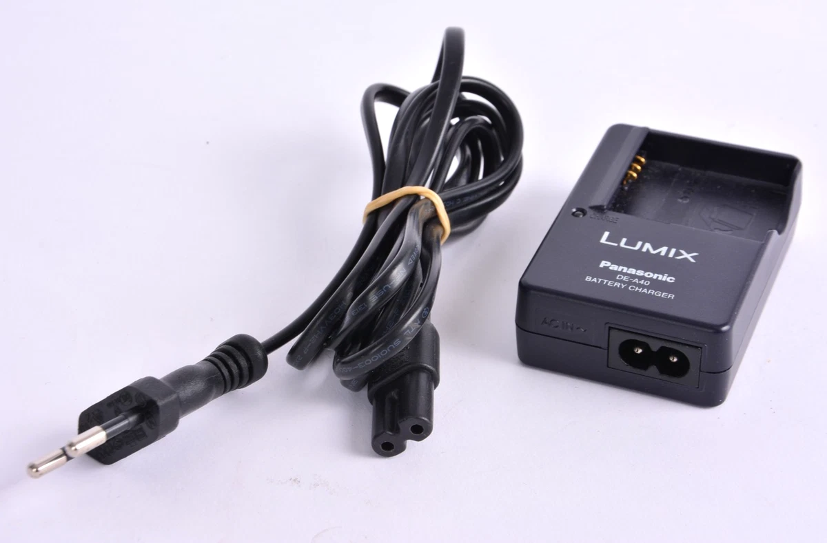 Offerta nel set: fotocamera agli ioni di litio + caricabatteria con adattatore per auto compatibile con Panasonic SDR-H21 SDR-H40 SDR-H60 SDR-H80 SDR-H90 SDR-H200 SDR-H250 SDR-H280 VDR-D50 VDR-D160