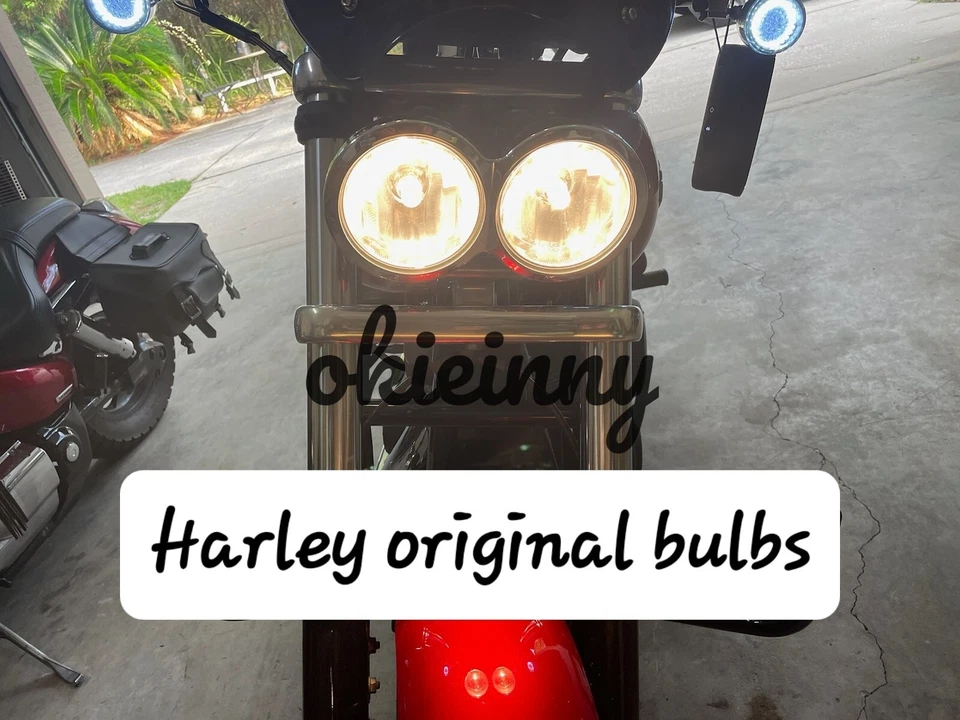 2 bombillas de faros SUPER LED para Harley-Davidson 2008-2010 FXDF 1GY4 DYNA FAT BOB Foto 3 de 4
