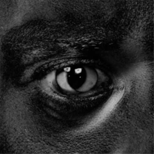 Wiley Evolve Or Be Extinct (Vinyl LP) 12" Album