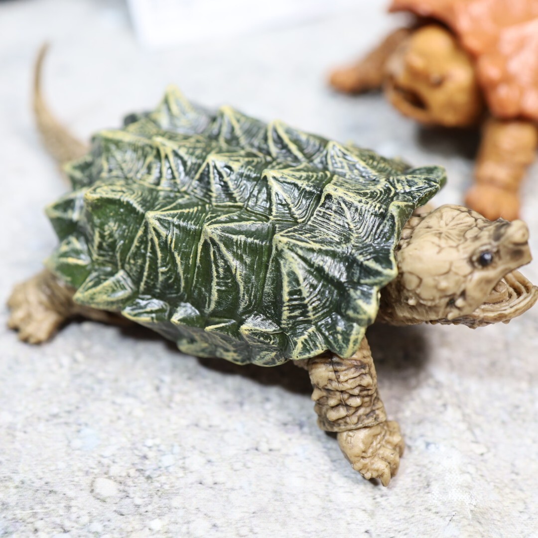 Bandai Gashapon Alligator Snapping Turtle Series Vol. 3 Figure