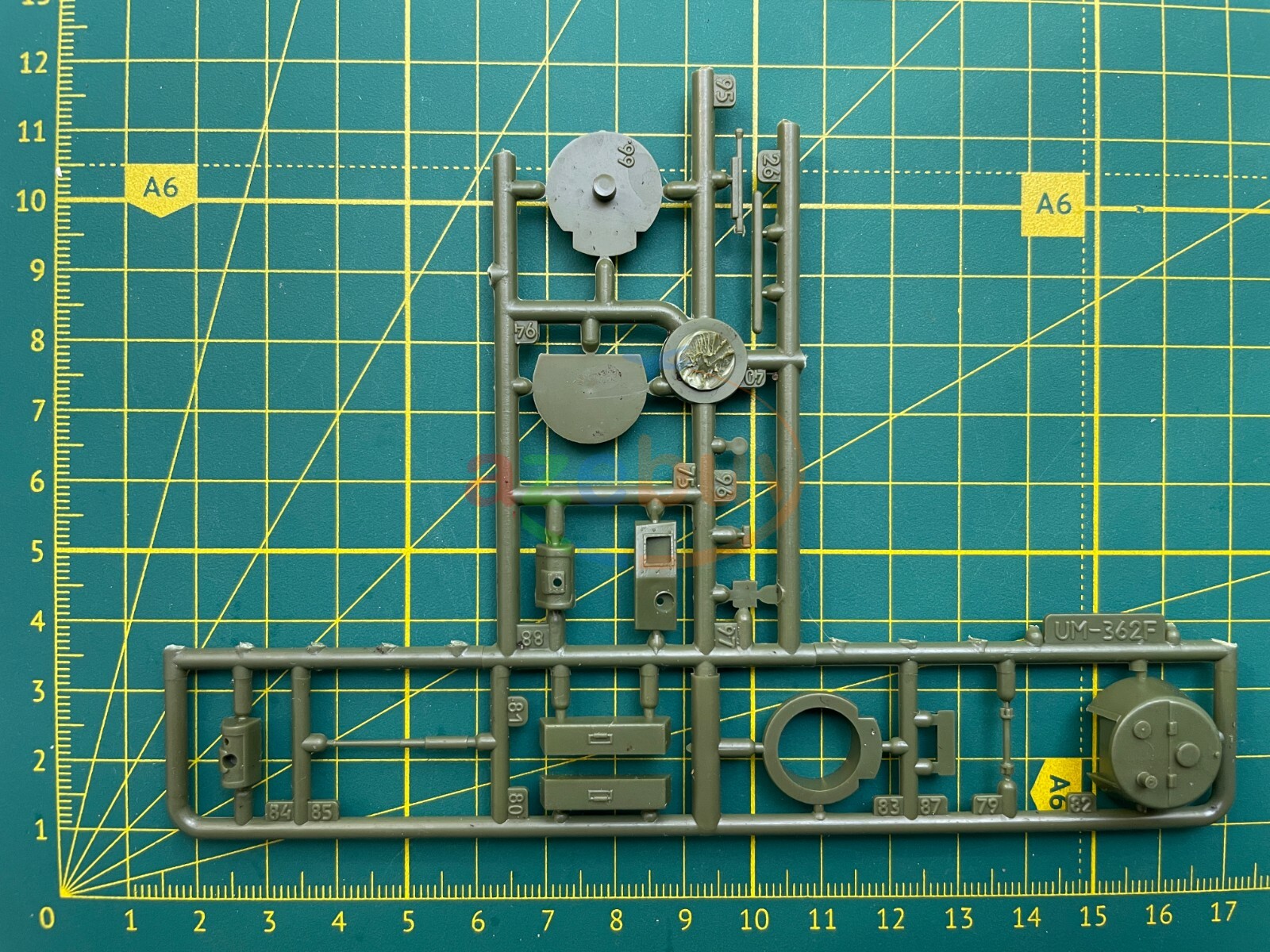 Picture 11 of 12