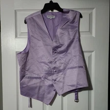 Vesuvio Napoli in Italy  Men's Light Purple Vest Size Large