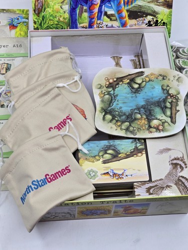 North Star Games - Evolution - L'inizio gioco da tavolo 100% completo per bambini! - Foto 2 di 8