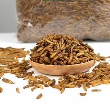 2lb Reptile Food Dried Black Soldier Fly Larvae Treats for Bearded Dragon 5lb