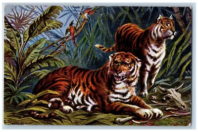 Perlberg Artist Signed Postcard Art Tiger Birds Animals c1905 Unposted Antique