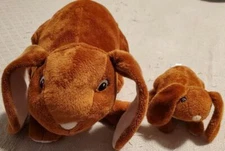Rabbit Plushes 12" & 6" Kohl's Kids Cares