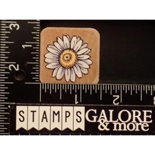 Stampendous Rubber Stamps Square Nestling CN135 SHASTA DAISY GARDEN FLOWER #W27