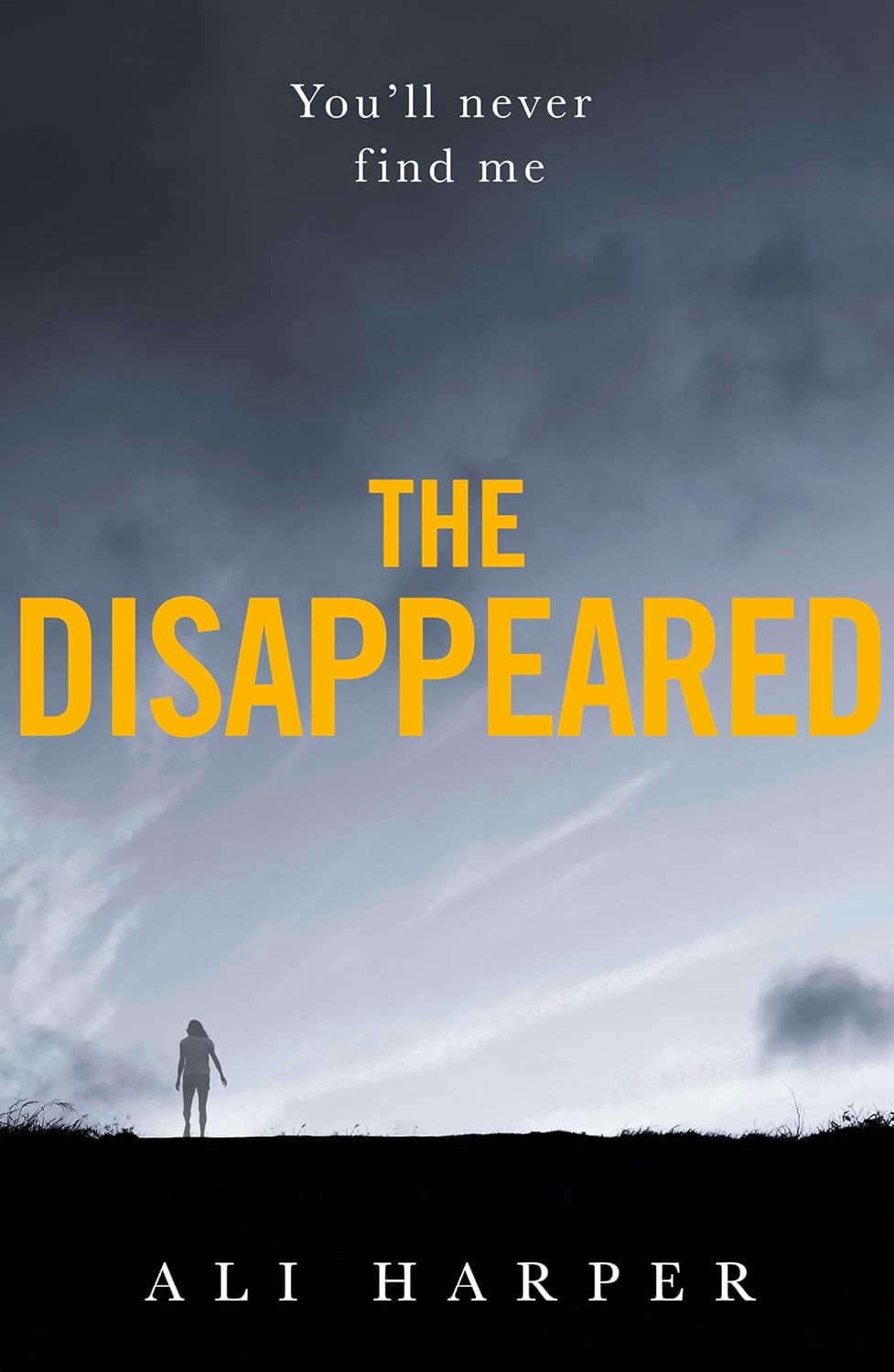 The Disappeared: A gripping crime mystery full of twists and turns! - Image 4