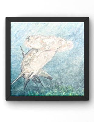 #ad Guajardo Art: Hammerhead Shark 6X6 Original Genuine Silver Wood Panel $250.00