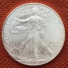2013 American Silver Eagle .999 Fine Silver BU from U.S. Mint Roll 1 Oz Nice!