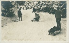 Ansichtskarte Rodelbahn Saig Titisee Schlittenfahrt (Nr.9138)