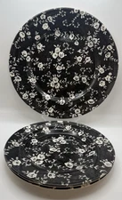 Royal Stafford Black Chintz Dinner Plate 11" + 2  8.5" Salad Plates England READ