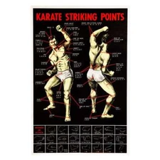 Karate Striking  Points martial arts Poster