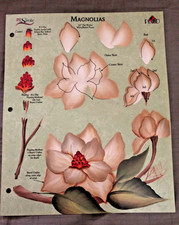 Donna Dewberry One Stroke Painting Reusable Teaching Guide MAGNOLIAS RTG