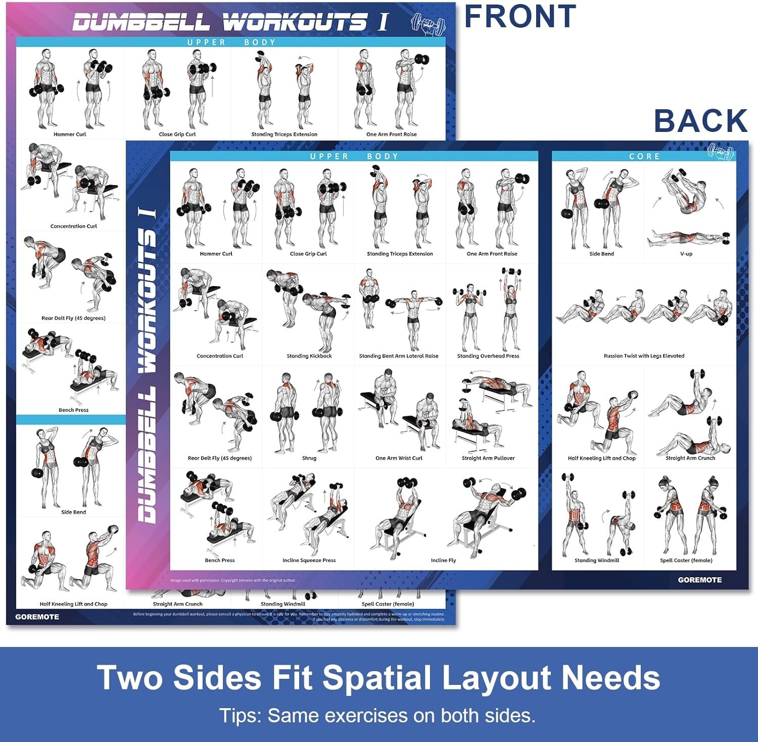 2 Pk Dumbbell Workout Poster Set - 18x24 Home Gym Exercise Charts Muscle Diagram