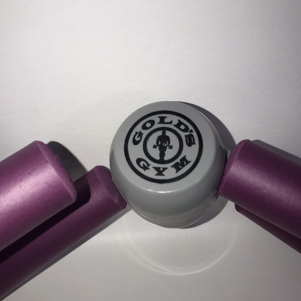 Gold's gym online thigh toner