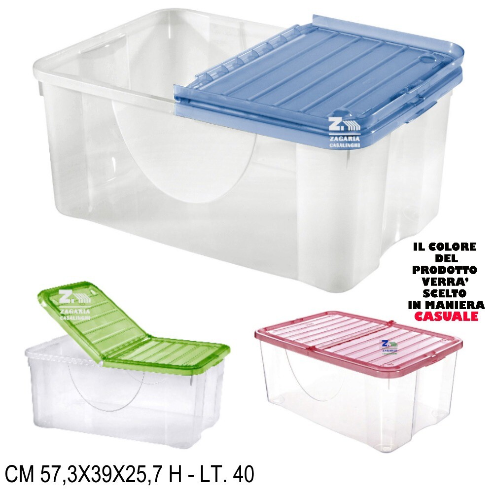 CONTENITORE BOX STORAGE BAULE DODO LT 40 MULTIUSO CON COPERCHIO PIEGHEVOLE