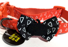HALLOWEEN DOG COLLAR thrills  chills Pumpkin w/Bow/Pumpkin New Glow In The Dark