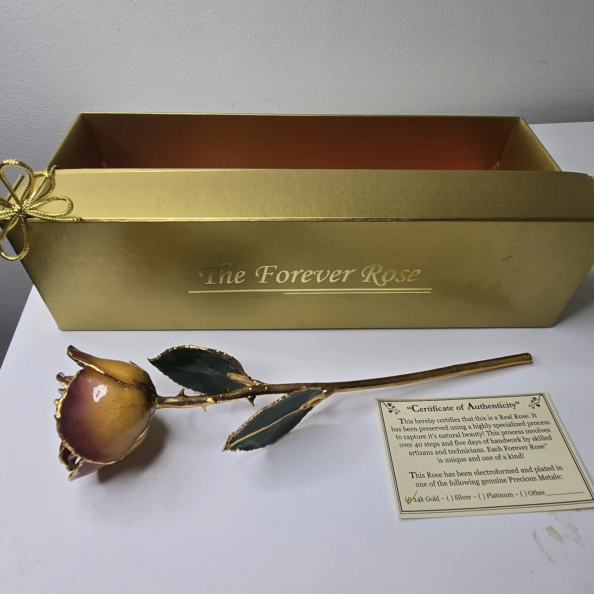 25+ Forever Rose for sale | Updated Oct 2026