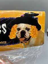 Dog Witch Hat with Orange Wig