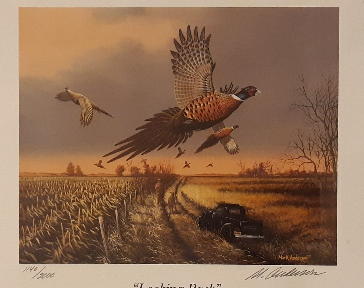 Mark Anderson Limited Edition Signed Print - 1995 SD Wildlife