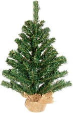 Rocky Mountain Goods Tabletop Small Christmas Tree 12” - Unlit Christmas Tree 