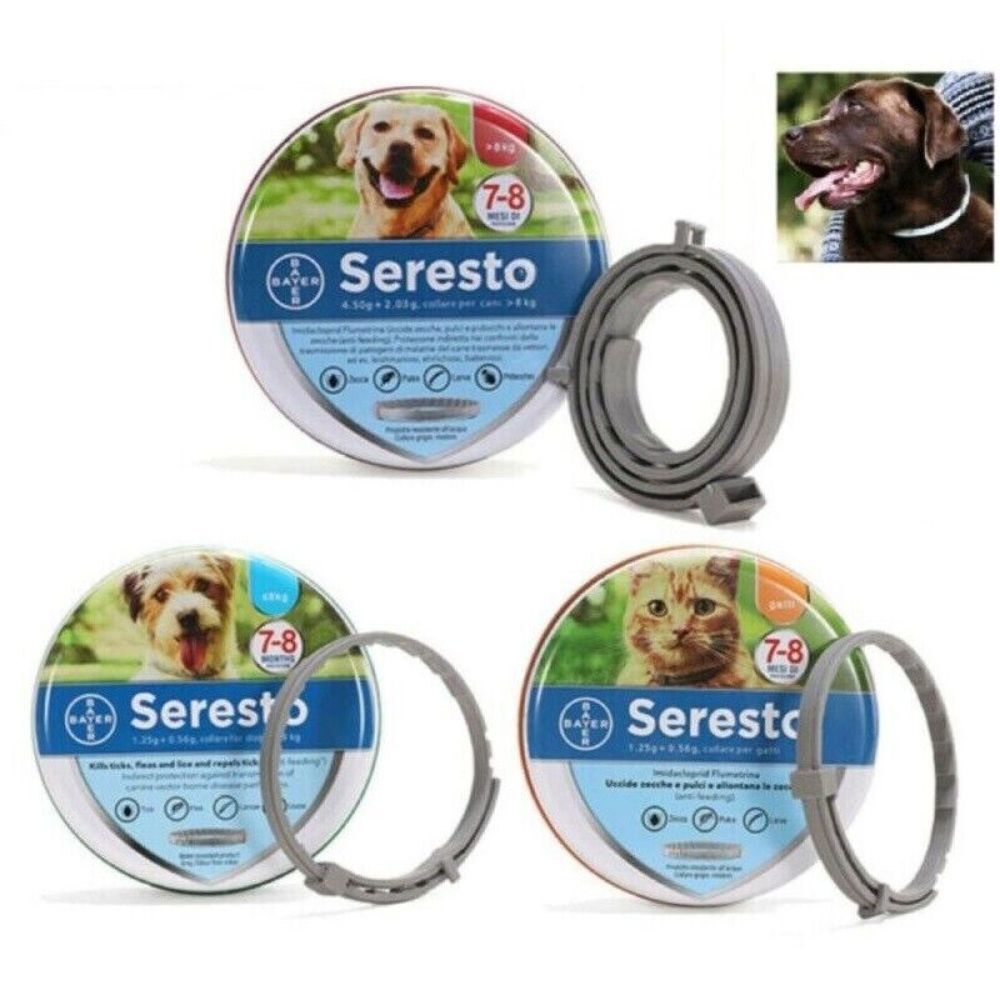 Collar Antiinsectos Pulgas y garrapatas 8 Meses Protección para Gatos Perro
