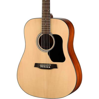 Walden D450W Standard Solid Spruce Top Dreadnought Acoustic Gloss Natural
