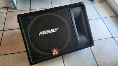 Peavey Bühnenlautsprecher / Monitor