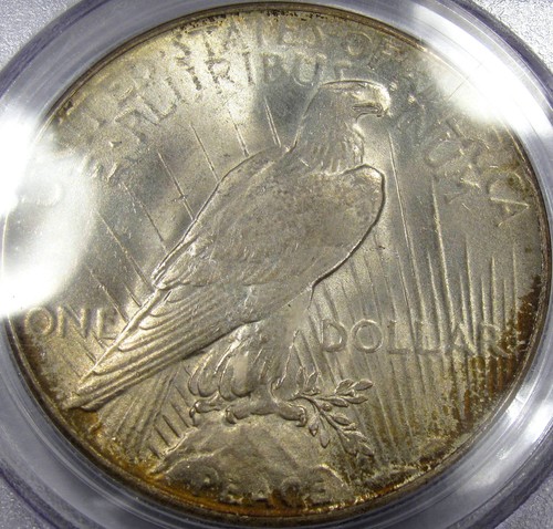 1935 Peace Dollar Gem BU PCGS MS-64...Flashy Matte Luster, Very Nice Rim Toning! - 第 4/8 張圖片