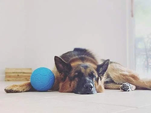 Jolly Pets Floating Soccer Ball Dog Toy 6 Inch Ocean Blue for Fetch and Play - Image 3 of 4