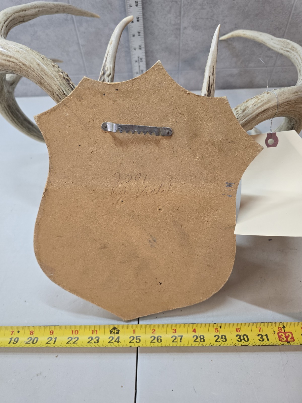 Wild 8 Point 131-2" Whitetail Deer Antler Rack Horn Skull Plate Decor Man Cave