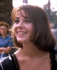 NATALIE WOOD   Sexy  Hot Sexy  8x10 photo 298385