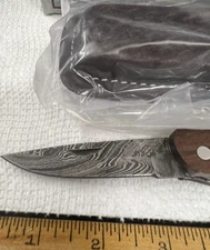 Chipaway Cutlery Folding Knife CW-995