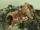 DAVINCIITE from Kola, Russia * TYPE & ONLY LOCALITY MINERAL * 1,3 cm