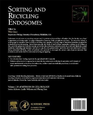 Wei Guo Sorting and Recycling Endosomes (Gebundene Ausgabe)
