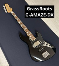 GrassRoots G-AMAZE-DX E-Bass gebraucht, kompakter, leistungsstarker Tonabnehmer