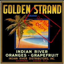 Golden Strand Indian River Cocoa Florida Citrus Fruit Crate Label Art Print 8x8