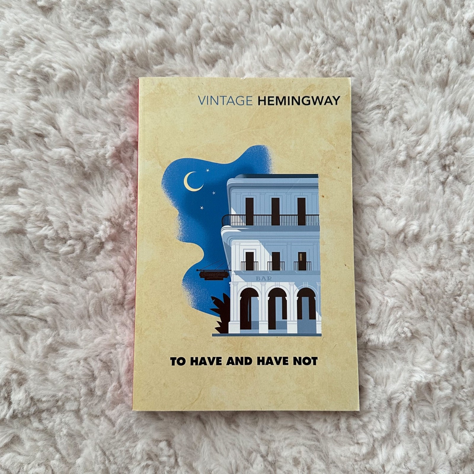 To Have And Have Not by Ernest Hemingway (Paperback, 2017) Vintage Classics