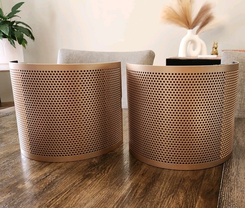 Dyson Filter Housing (GOLD) Purifier Humidify+Cool Formaldehyde PH04