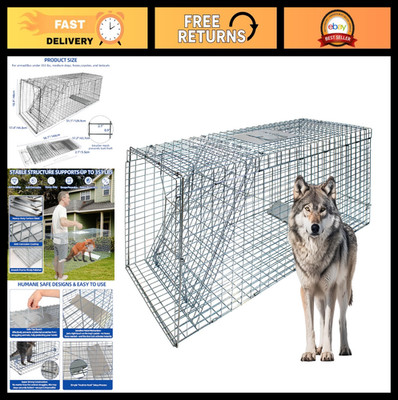 Large Foldable Humane Live Animal Trap Cage - Steel Coyote Raccoon Bobcat Fox Do