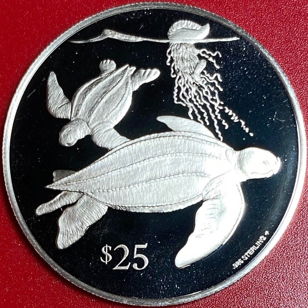 Picture 1 of 6