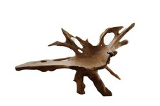 Radice di mangrovia Indonesiana