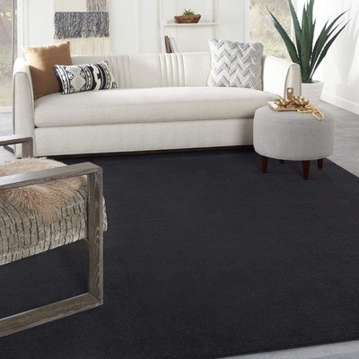 Nourison Essentials 9X12 Black Outdoor Indoor Area Rug Low Pile Easy Care