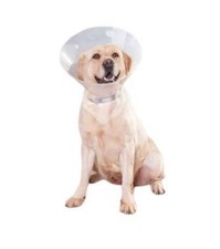 Halskrause Schutzkragen f&uuml;r Hunde Katzen clic - transparent 7,5-40 cm