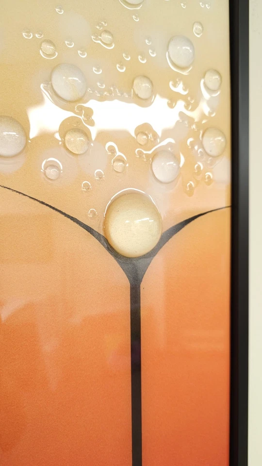 Pintura Original Diente de León Arte Floral Colorido Negro Enmarcado Decoración de Pared 6"x36" Foto 3 de 4