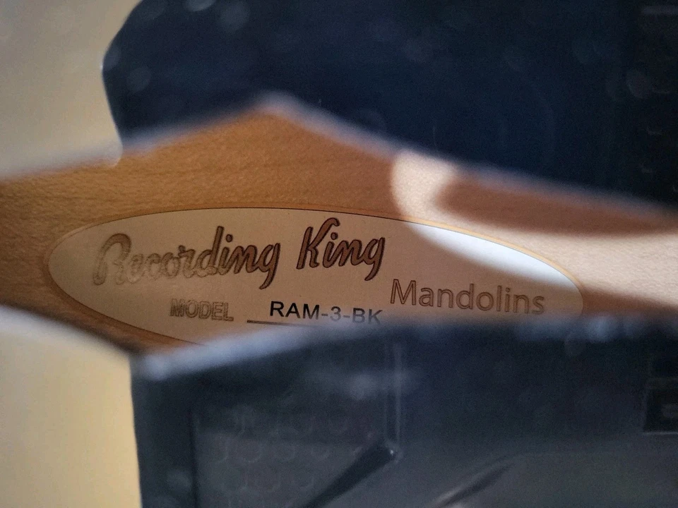 Recording King RAM-3-BK Mandolin Gloss Black - Image 3 of 4