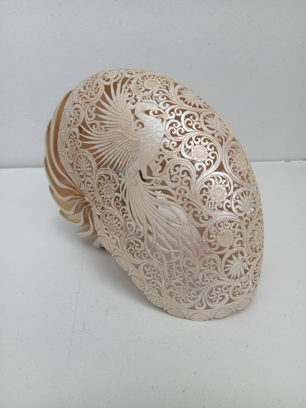Shell Phoenix Hand carved Nautilus Shell Phoenix design, Real and Natural seashell