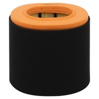 Filtron AK 280/1 Luftfilter FüR Fiat Ducato Kasten 250